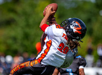 VIEW ONLY - Linden Pop Warner vs Brick City Lions (Mitey Mites)